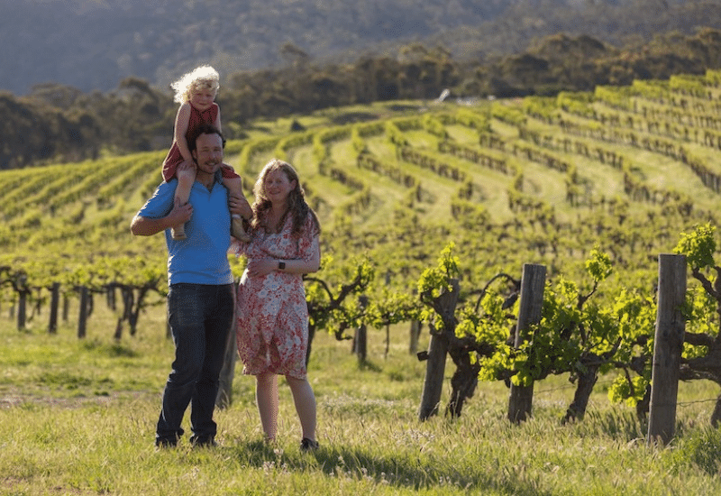 Aphelion Single Vineyard Grenache Release