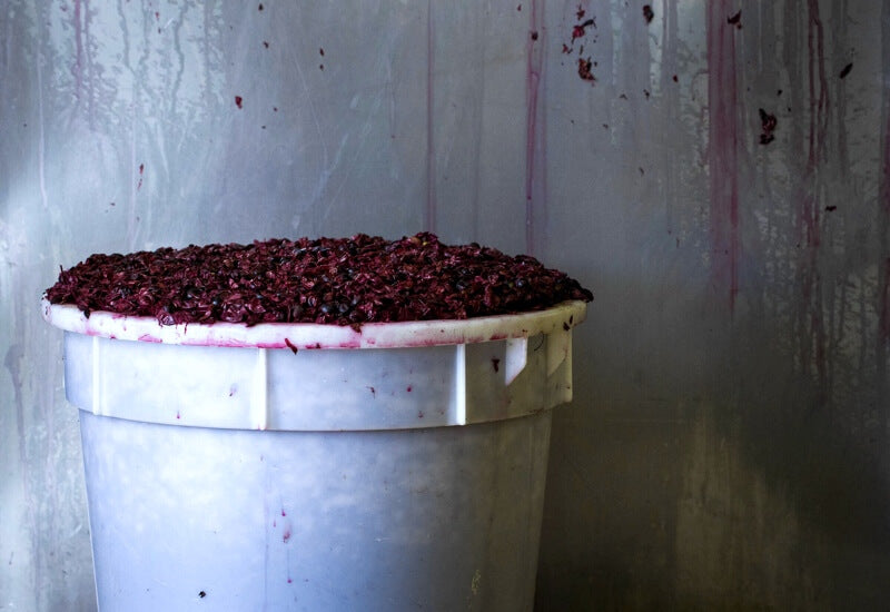 Canberran Counterculture