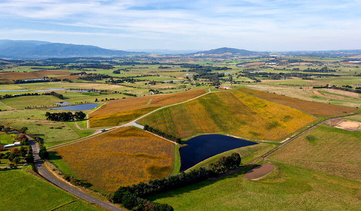 The New View on Denton View Hill