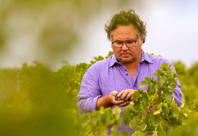 Domaine Naturaliste: 2022 Different Drop Best Value Producer