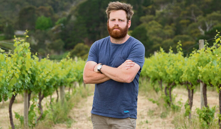 Where The Wild Things Are: The Curious Case of the Basket Range