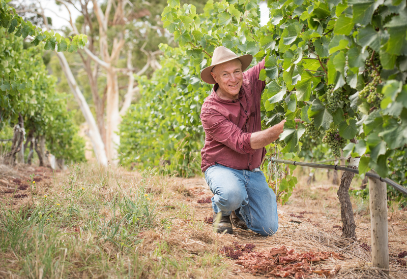 Hahndorf Hill: A Taste of Austria in the Adelaide Hills
