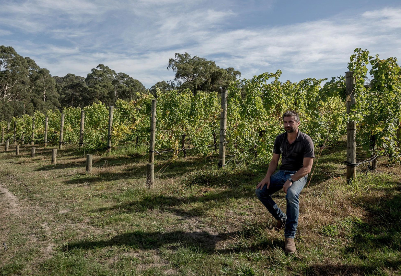 Unbeatable Value Yarra Valley Wines From the Hoddles Creek Crew