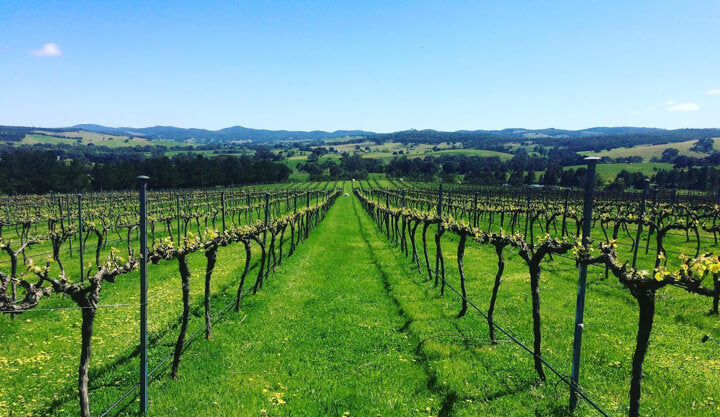 New Wave NSW: Six Producers To Check Out