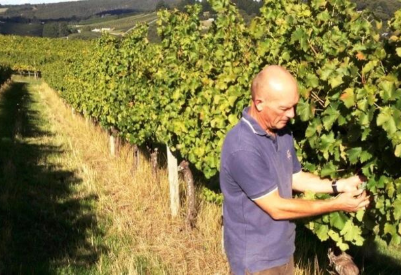 Classically Styled, Highly-Rated Artisanal Barossa Wines From Just $30!