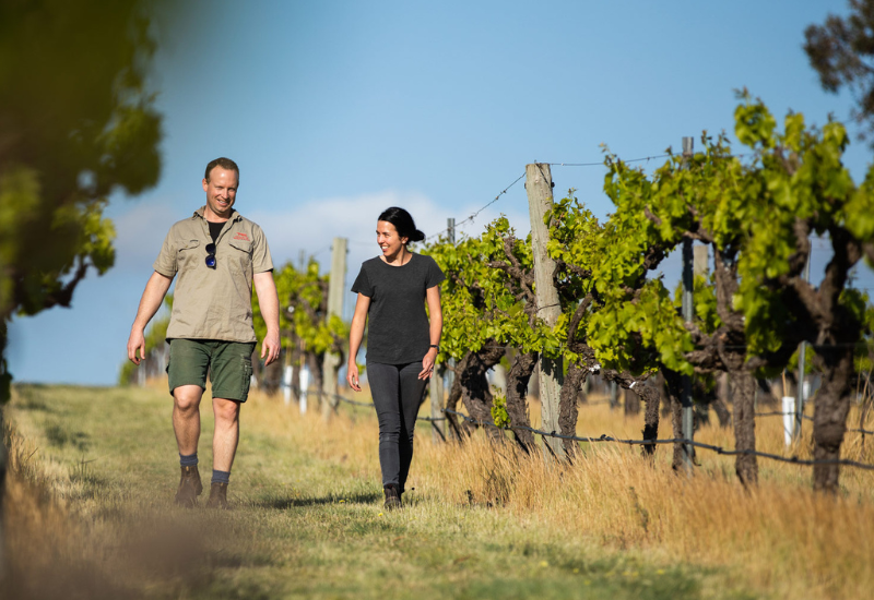 Paralian Limited Release for 2022: 96pt Grenache & 95pt Chardonnay!