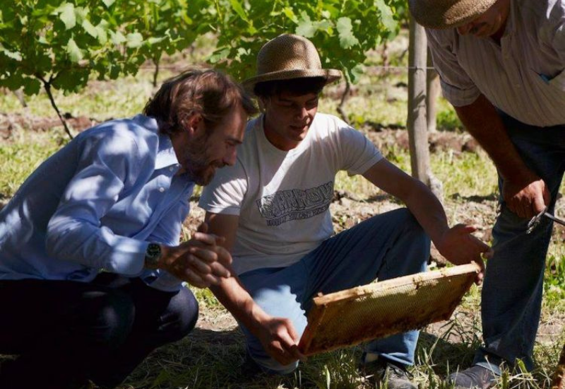 Bodega Chacra: 2022 International Producer of the Year