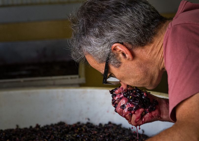 Ravensworth Autumn Release