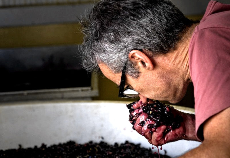 Alternative Heroes pt.1 - Ravensworth