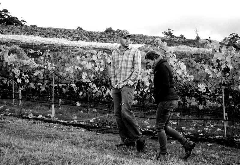 Sailor Seeks Horse: A Single Site, A Single Vision