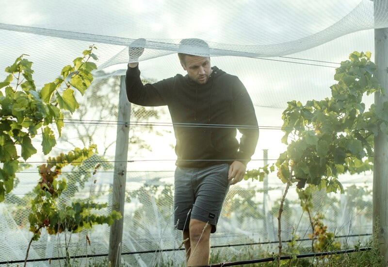 2020 Two Tonne Tasmania Release