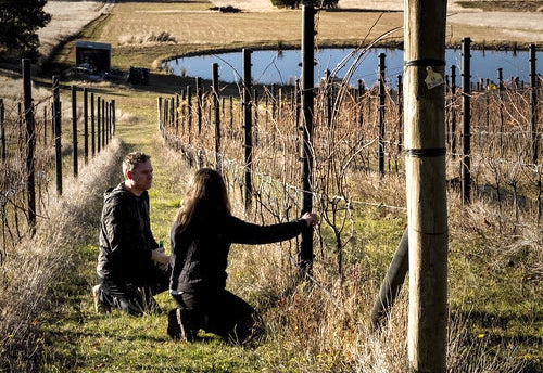 Producers To Watch Pt.2 - Vignerons Schmölzer & Brown