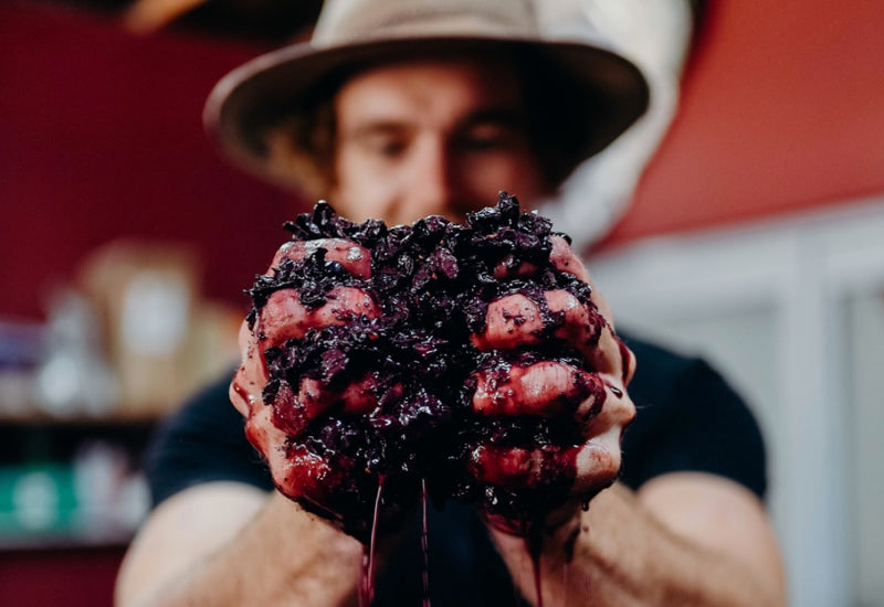 Producers To Watch Pt.3 - Vinden Estate