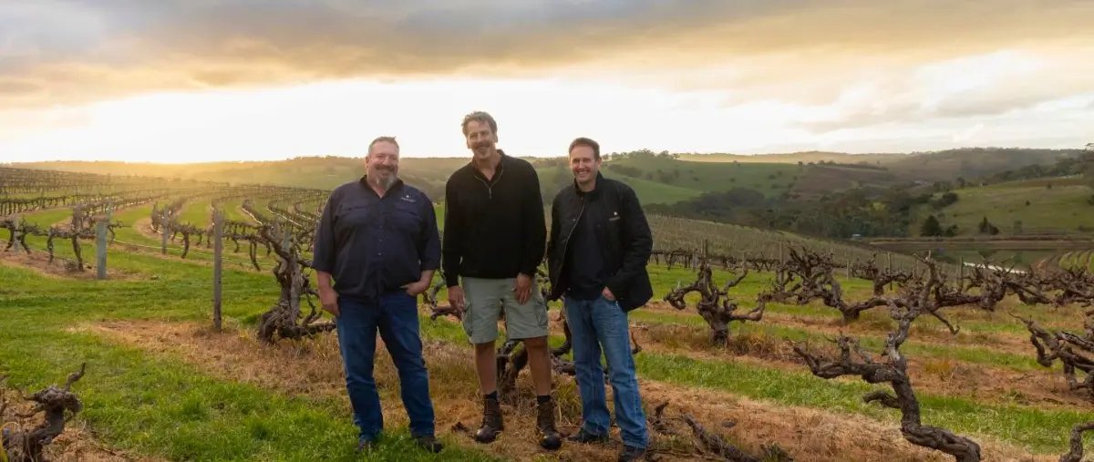 Hickinbotham Yineyard