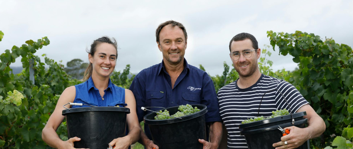 Margan Wines