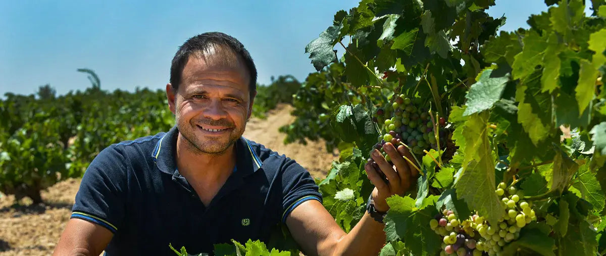 Bodegas Ponce