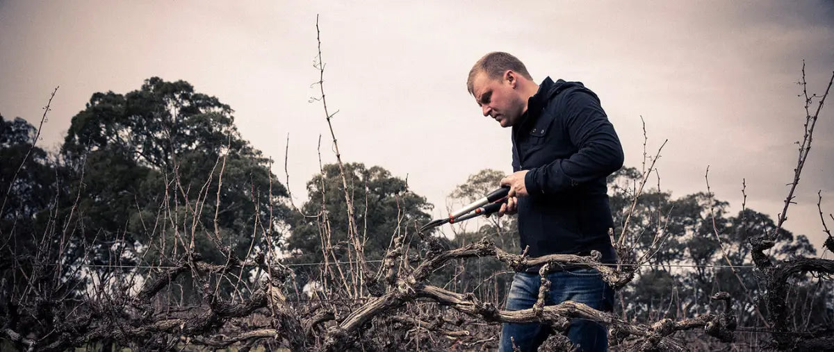 Standish Wine Company