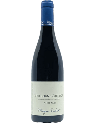 2020 Domaine Truchetet Cote d'Or Pinot Noir