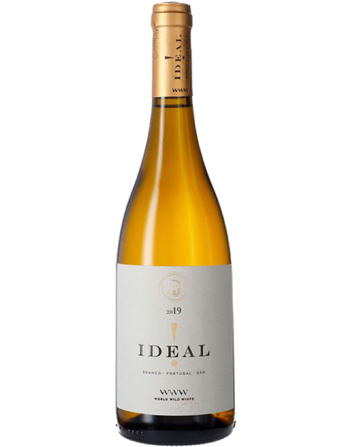 2020 Ideal Branco Dao