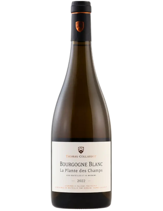 2022 Domaine Thomas Collardot Bourgogne Cote d'Or Blanc La Plante Des Champs