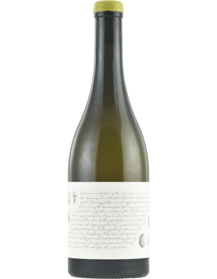 2025 M&J Becker Wines Hunter Valley Chardonnay