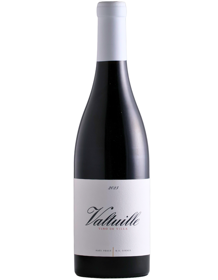 2023 Castro Ventosa Valtuille Vino de Villa