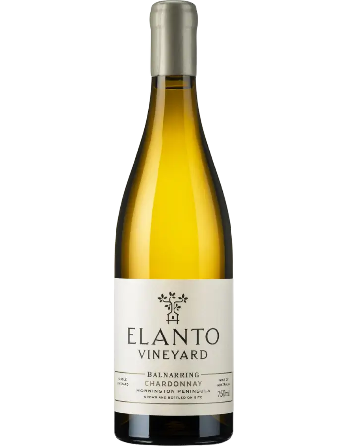 2024 Elanto Vineyard Chardonnay