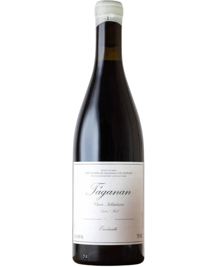 2023 Envínate Taganan Tinto