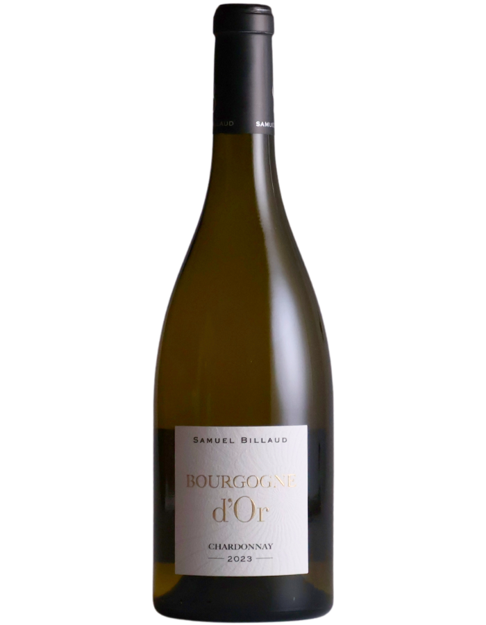 2023 Samuel Billaud Bourgogne D'Or