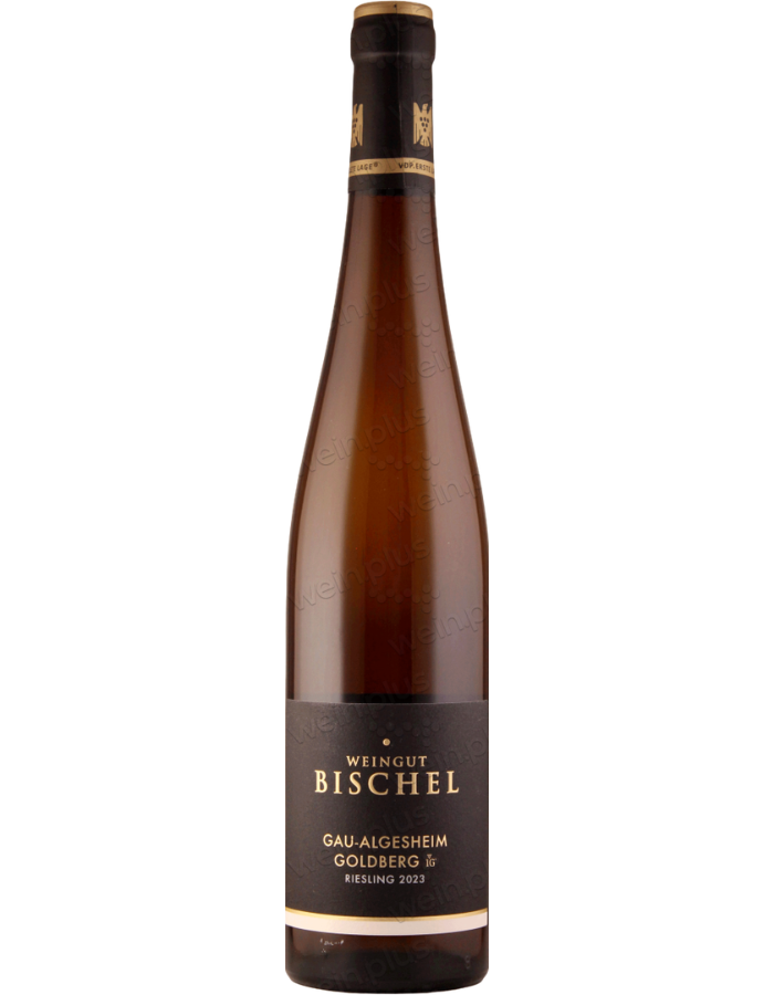 2023 Weingut Bischel Goldberg Riesling 1G