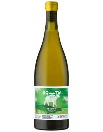2025 Brash Higgins Scooty Pecorino