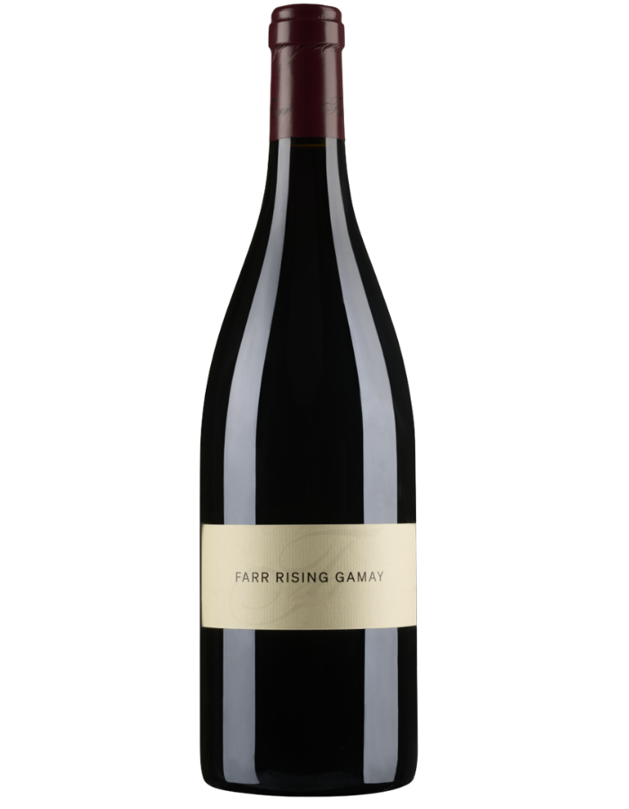 2025 Farr Rising Gamay