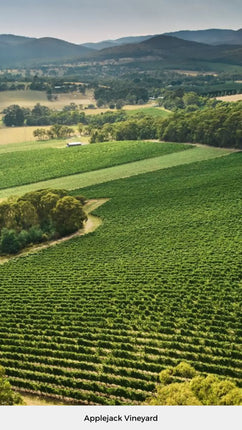 2024 Giant Steps Applejack Vineyard Pinot Noir