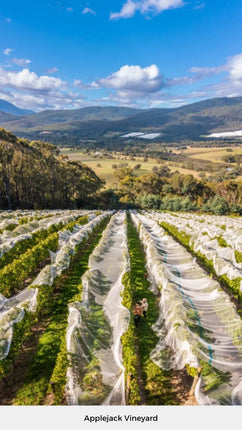 2024 Giant Steps Applejack Vineyard Pinot Noir