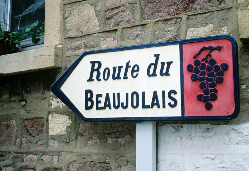 Beaujolais With Brains: New Arrivals from Marc Delienne, Laura Lardy & More!
