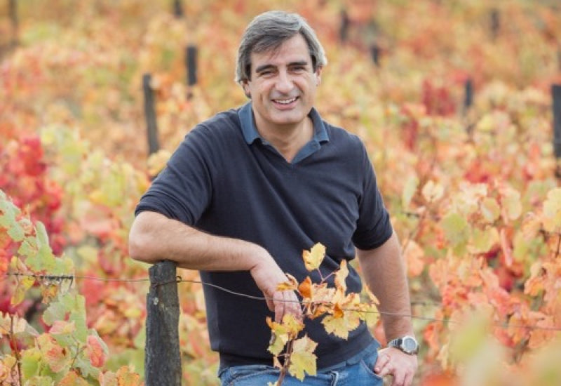 Luis Seabra - The Phenomenal Wines of a Portuguese Renegade