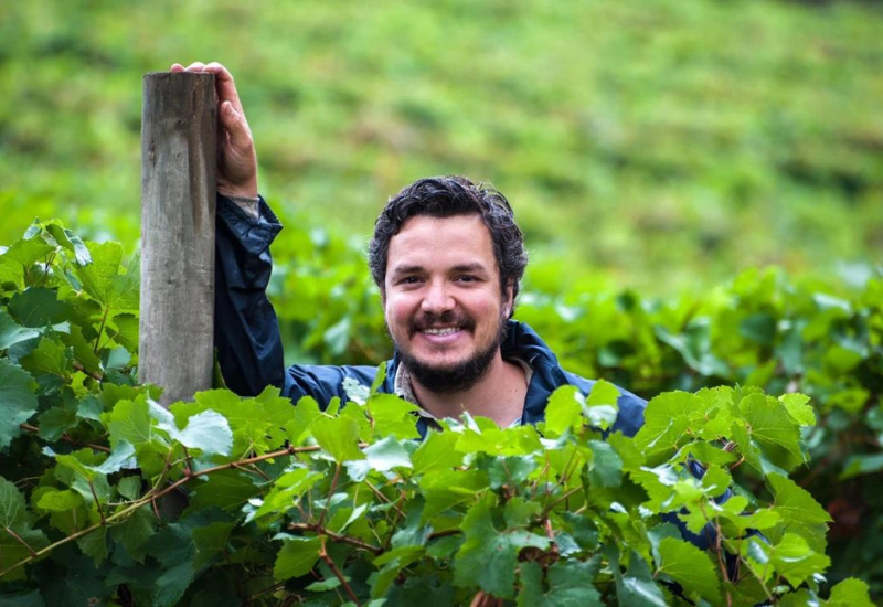 Mordrelle Wines: Massive-Scoring Reds from an Argentinian in Australia