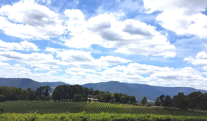 Yarra Valley at the Crossroads