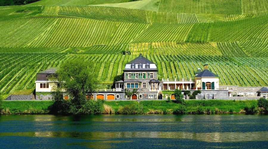 Best Wineries in Germany