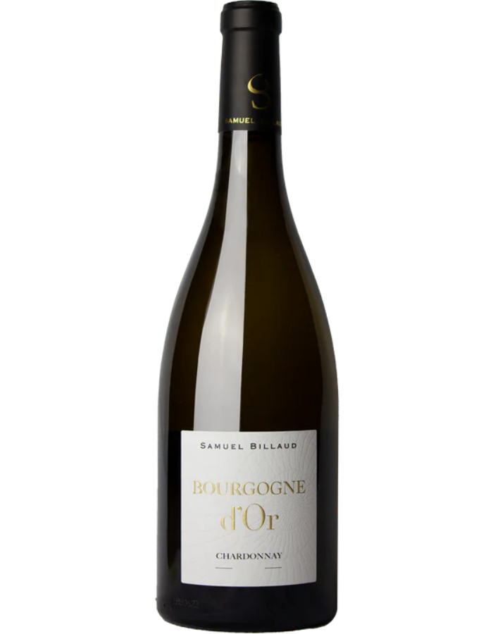 2022 Samuel Billaud Bourgogne D'Or