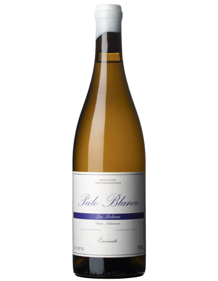 2024 Envinate Palo Blanco