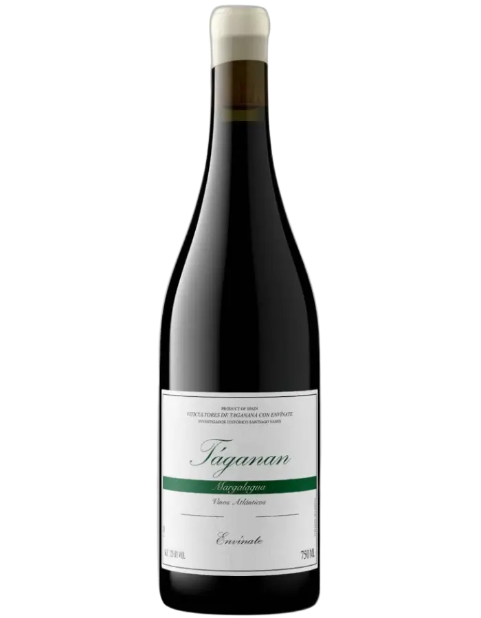 2024 Envinate Taganan Parcela Margalagua