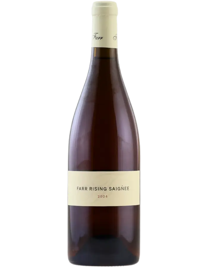 2025 Farr Rising Saignee Rose