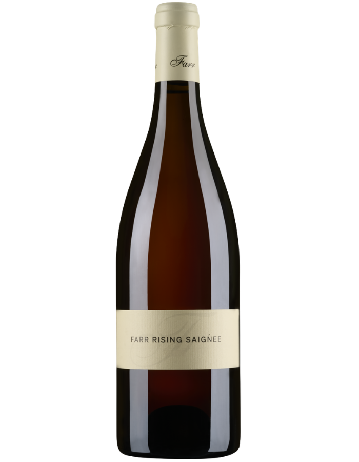 2025 Farr Rising Saignee Rose