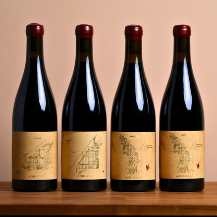 Agricola Shiraz Masterclass Pack