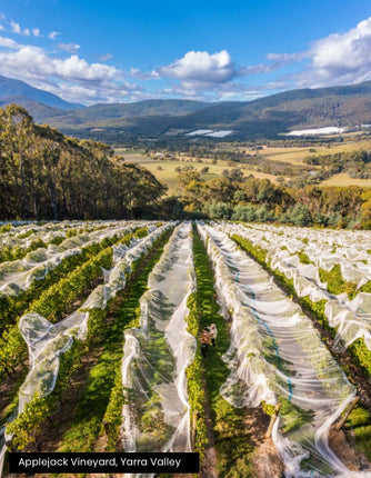2024 Giant Steps Yarra Valley Pinot Noir