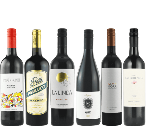 Argy-Bargy Argentinian Malbec Pack