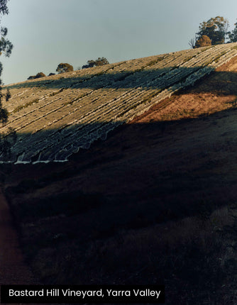 2024 Giant Steps Yarra Valley Pinot Noir
