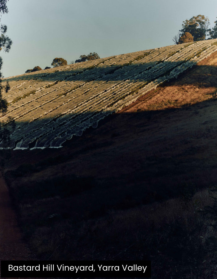 2024 Giant Steps Yarra Valley Pinot Noir