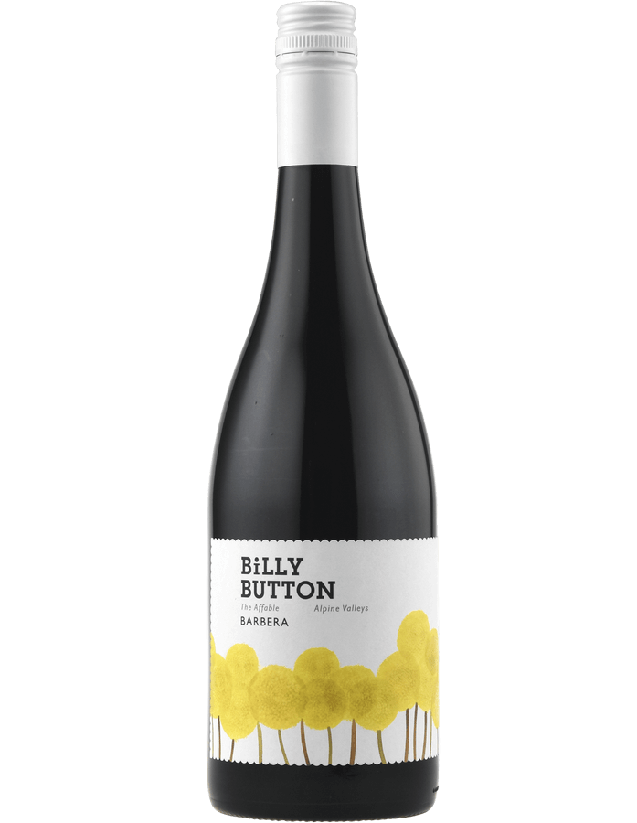 2023 Billy Button The Affable Barbera